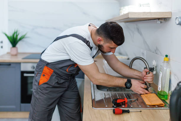 Best Commercial Plumbing Services  in Winona, MN